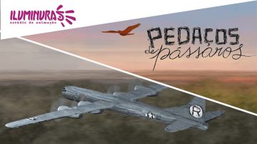 Pedaços de Pássaros